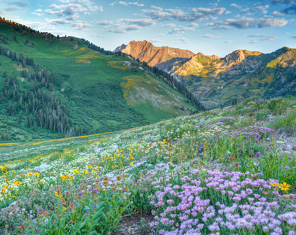 Wasatch Art Print featuring the photograph Wasatch Mountains Utah #11 by Douglas Pulsipher