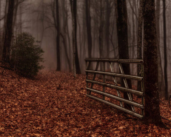 Fog Art Print featuring the photograph Foggy Trail by Kevin Senter