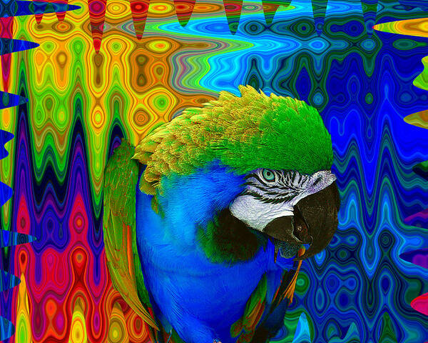 Macaw Art Print featuring the photograph Macaw Madess by Amanda Vouglas