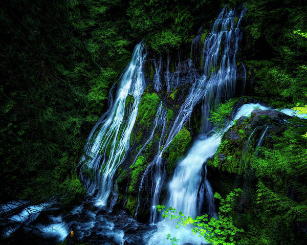 Panther Art Print featuring the photograph Panther Creek Falls by Thomas Hall