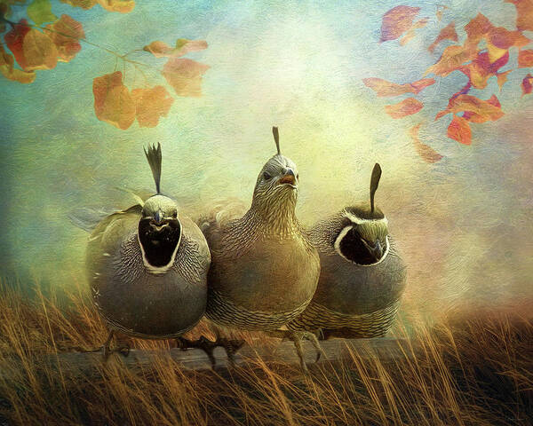 Quail Art Print featuring the digital art California Quail by Nicole Wilde