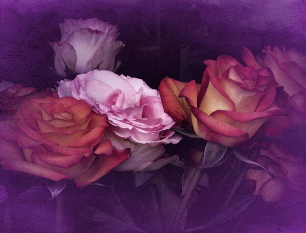 Roses Art Print featuring the photograph Rose Collection #2 by Richard Cummings