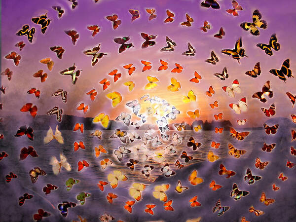 Butterfly Art Print featuring the photograph Butterfly Sunset by Anne Cameron Cutri