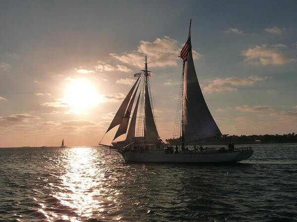 Sailboat Art Print featuring the photograph Sailboat at Key West by Jo Sheehan