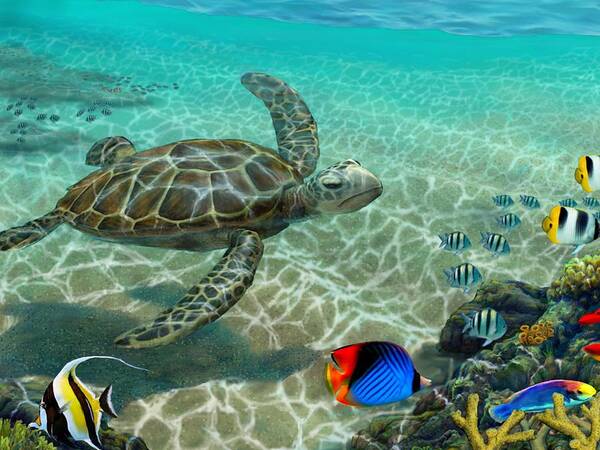 Hawaii Seascape Art Print featuring the painting Hawaiian Sea Turtle #1 by Stephen Jorgensen