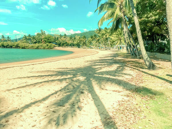 Airlie Beach Art Print featuring the photograph Airlie Palms by Az Jackson