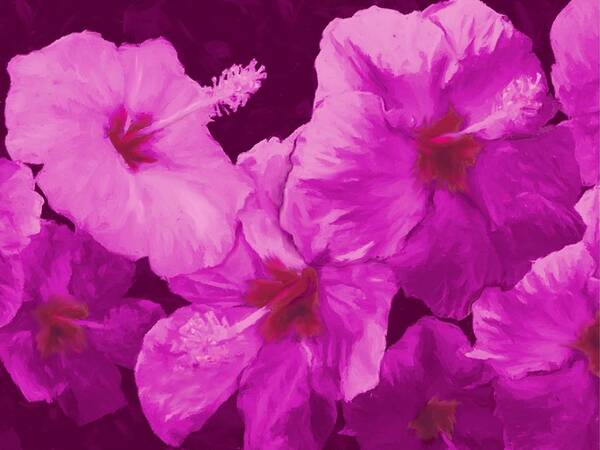 Hibiscus Art Print featuring the painting Hibiscus, Pink by Stephen Jorgensen