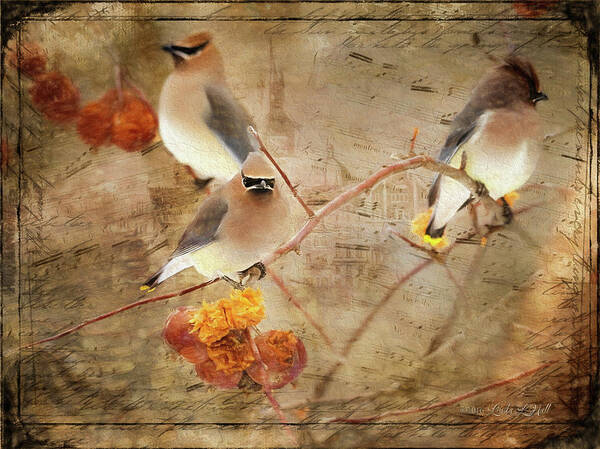 Cedar Waxwings Art Print featuring the photograph Out on a Limb by Linda Lee Hall