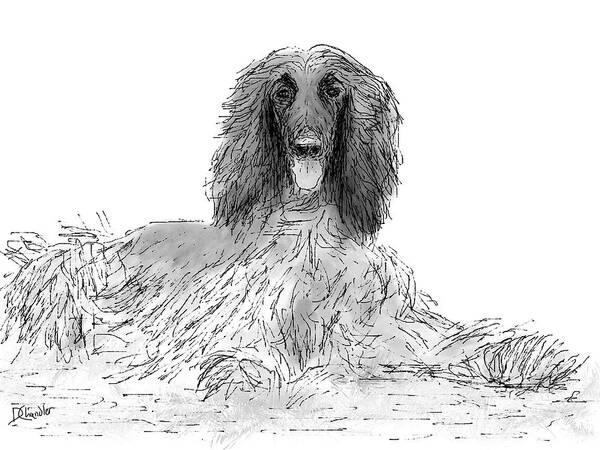 Afghan Hound Art Print featuring the digital art The Diva by Diane Chandler