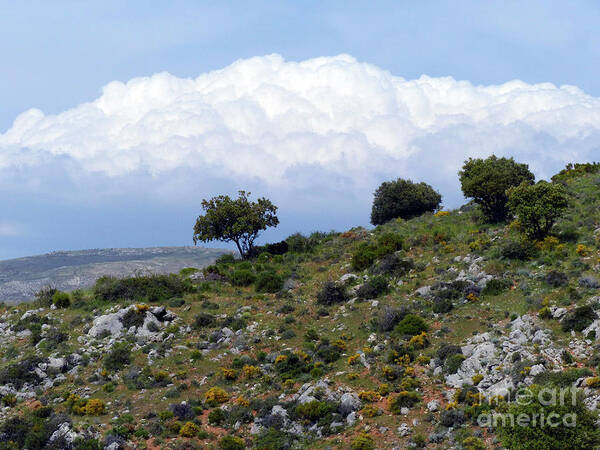 Cumulus Clouds Art Print featuring the photograph Cumulus Clouds - Sierra Nevada by Phil Banks