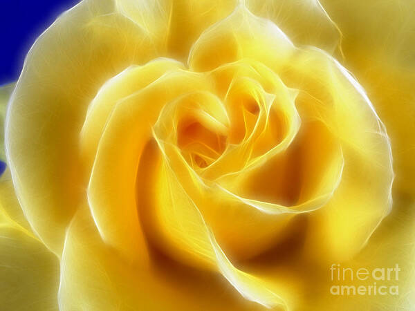 Yellow Art Print featuring the photograph Floral Yellow Rose by Lutz Baar