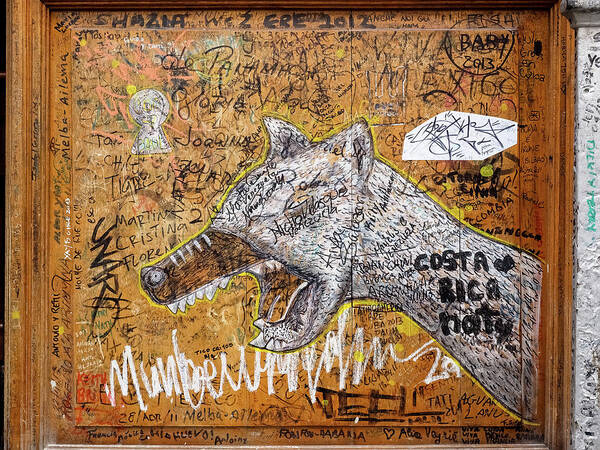 Graffiti Art Print featuring the photograph Mad Dog Image Art by Jo Ann Tomaselli
