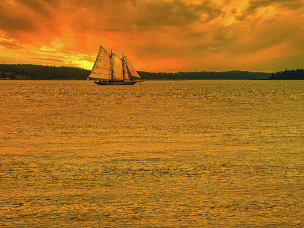 Sails Art Print featuring the photograph Sails at Sunset by Thomas Hall