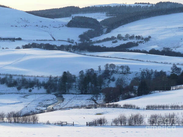 White Art Print featuring the photograph Shades of White - Rolling Hills by Phil Banks