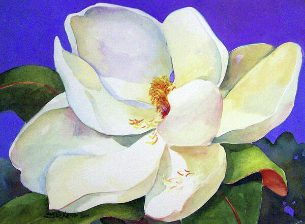Magnolia Art Print featuring the painting Sweet Magnolia by Sue Kemp