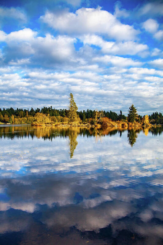 Lake Ballinger Art Print featuring the photograph Reflections on Lake Ballinger by Tommy Farnsworth