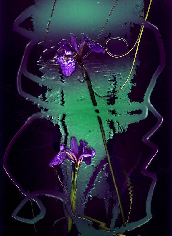 Iris Waterways Art Print featuring the photograph Iris reflections by Algis Kemezys
