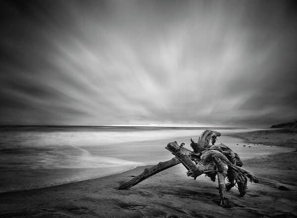 Lifeguard Art Print featuring the photograph Driftwood Del Mar Beach by Lawrence Knutsson
