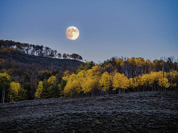Fall Art Print featuring the photograph Full Moon Over Aspens by Johnny Boyd