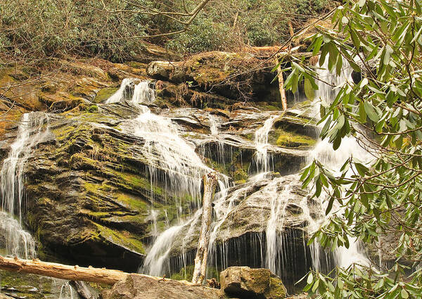 Historic Art Print featuring the photograph Early Sring At Catawba Falls.... by Tammy Schneider