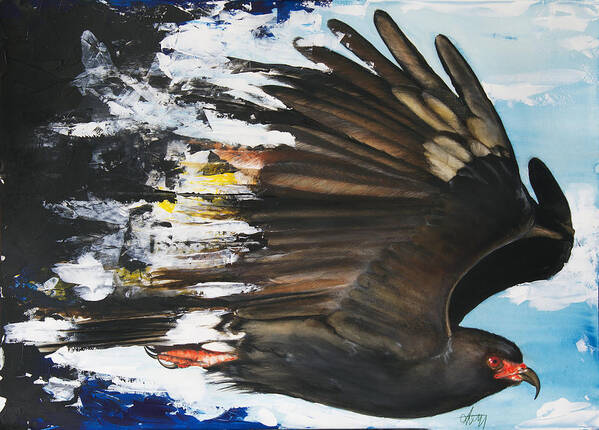 Bird Art Print featuring the mixed media Everglades Snail Kite by Anthony Burks Sr