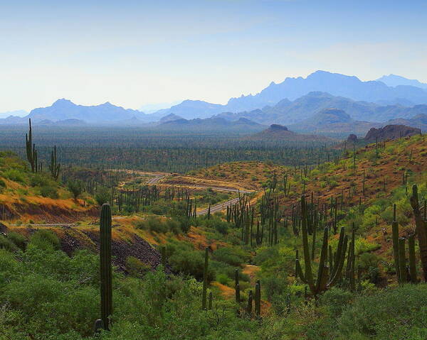 Mountains Art Print featuring the photograph The Transpeninsular Highway, Baja, MX by Robert McKinstry