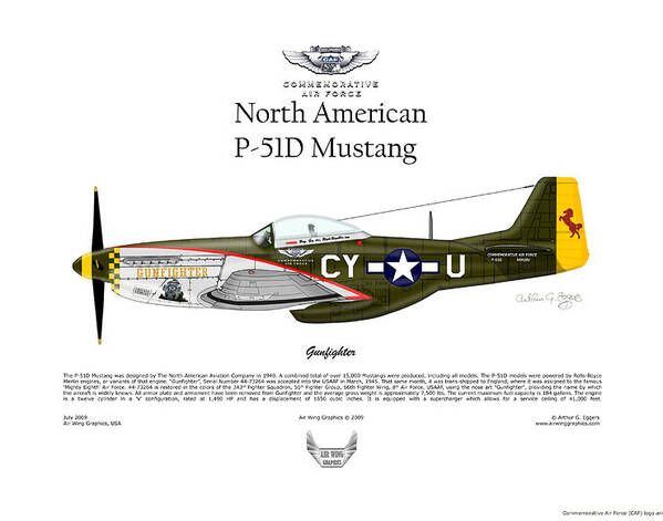 North American P-51D Mustang Gunfighter by Arthur Eggers
