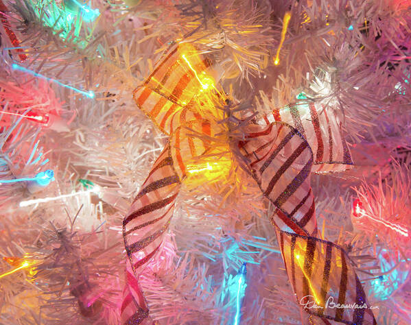 Christmas Art Print featuring the photograph Bow 8920 by Dan Beauvais