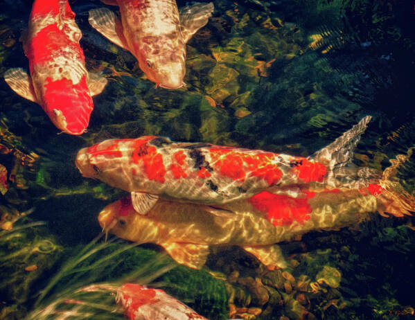 Fish Art Print featuring the photograph Koi Fish Fresco Two by Tony Grider