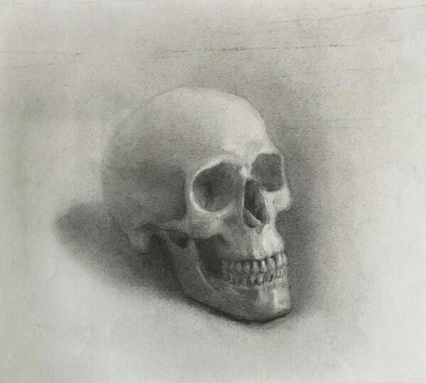 Pencil - Graphite- Calavera Vanitas- Study Skull- Memento Mori- Crane - Still Life With Skull - Art Print featuring the drawing Skull study by Paez ANTONIO