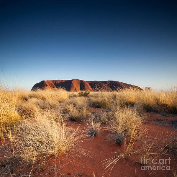 Australia Art Print featuring the photograph The red center by Matteo Colombo
