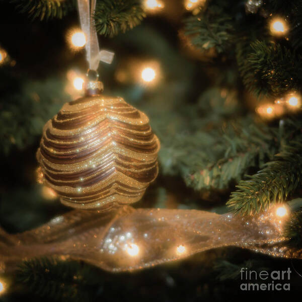 Christmas Art Print featuring the photograph Christmas tree by Agnes Caruso