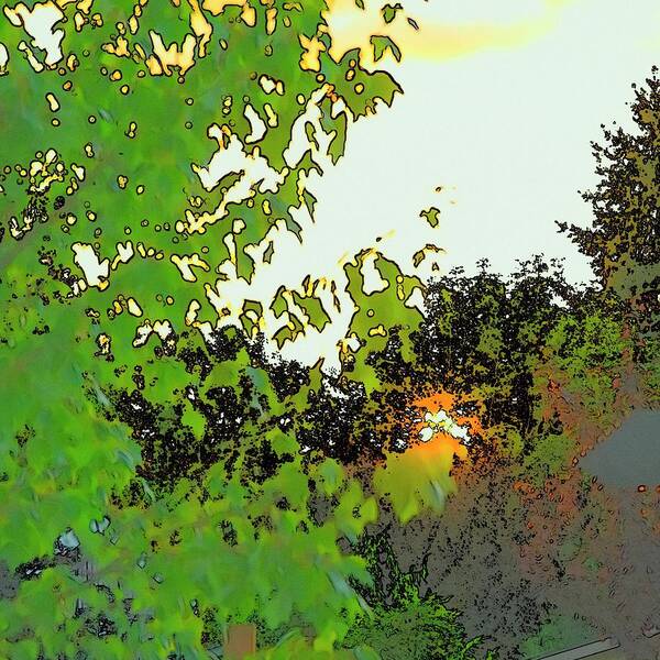 Color Art Print featuring the photograph Setting Sun And Maple Color Sketch by Jerry Sodorff
