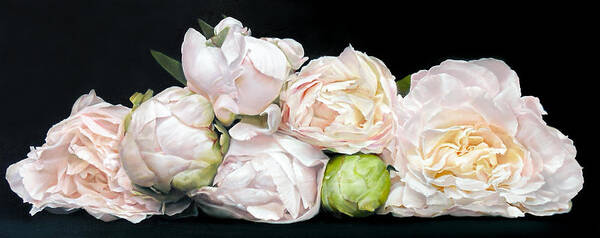 Peonies Canvas Prints Art Print featuring the painting Mel's Peonies 55 x 136 cm by Thomas Darnell