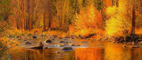 Fall Art Print featuring the photograph Little Truckee River by Sherri Meyer