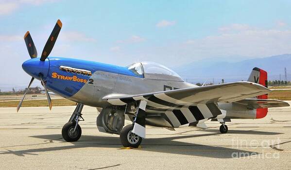 Aircraft Art Print featuring the photograph P-51 Mustang Straw Boss by Gus McCrea