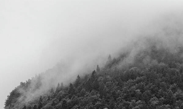 Foggy Art Print featuring the photograph Misty forest by Martin Vorel Minimalist Photography