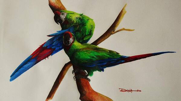 Paintings Art Print featuring the painting Military Macaws by Dana Newman