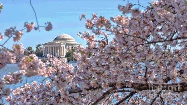 Jefferson Memorial Art Print featuring the photograph The Jefferson Memorial by Agnes Caruso