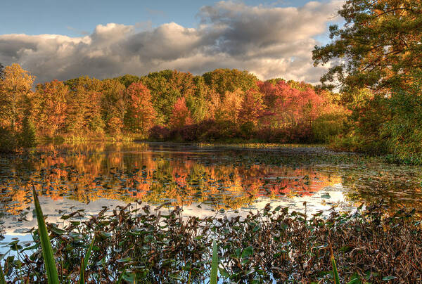 2x3 Art Print featuring the photograph Autumn Reflection on Foster Pond by At Lands End Photography