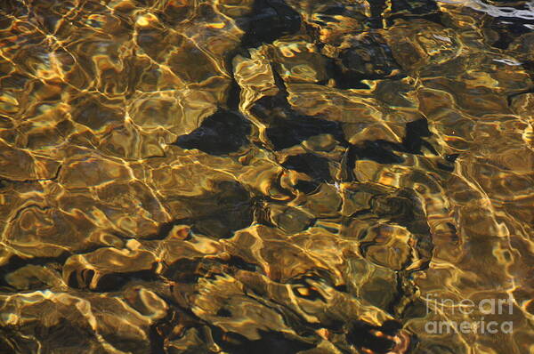  Art Print featuring the photograph Golden Waters by Mark Messenger