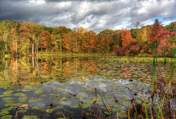 2x3 Art Print featuring the photograph Lily Pads on Foster Pond by At Lands End Photography