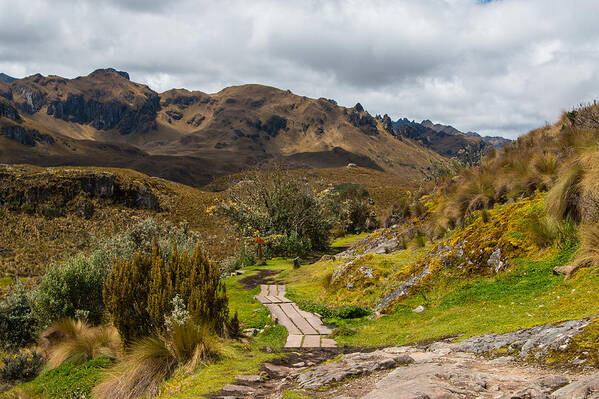 Landscape Art Print featuring the photograph Cajas National Park #1 by Robert McKinstry