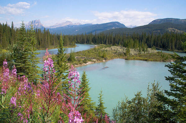 Bow River Art Print featuring the photograph Bow River Banff National Park Canada by Linda McRae