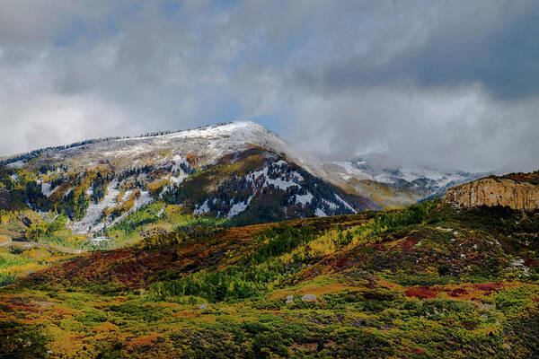 Aspens Art Print featuring the photograph Fall Snow Storm by Johnny Boyd