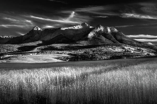 Aspens Art Print featuring the photograph San Juan Gold Grass ii by Johnny Boyd