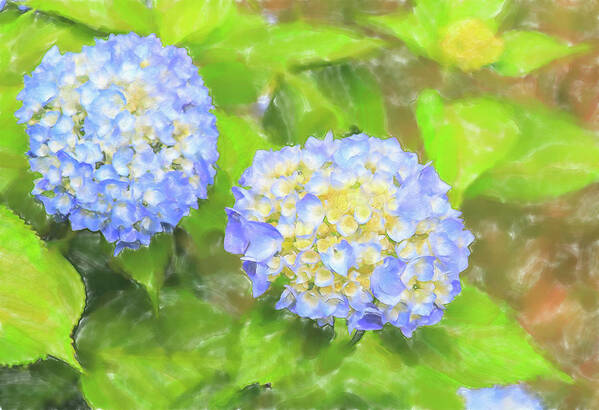 Colors Art Print featuring the digital art Blue Hydrangea Deux Watercolor by Tanya Owens