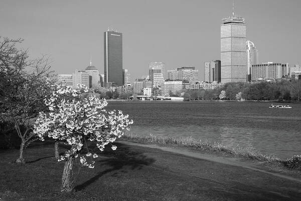 Boston Charles River on a Spring day Black and White by Toby McGuire