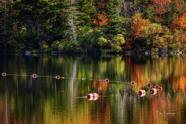 New England Art Print featuring the photograph Floats on Autumn Lake #5978 by Dan Beauvais