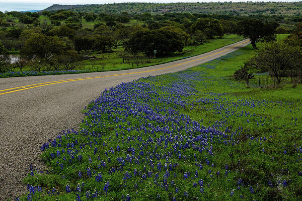 Texas Bluebonnets Art Print featuring the photograph The Long Road Home by Johnny Boyd